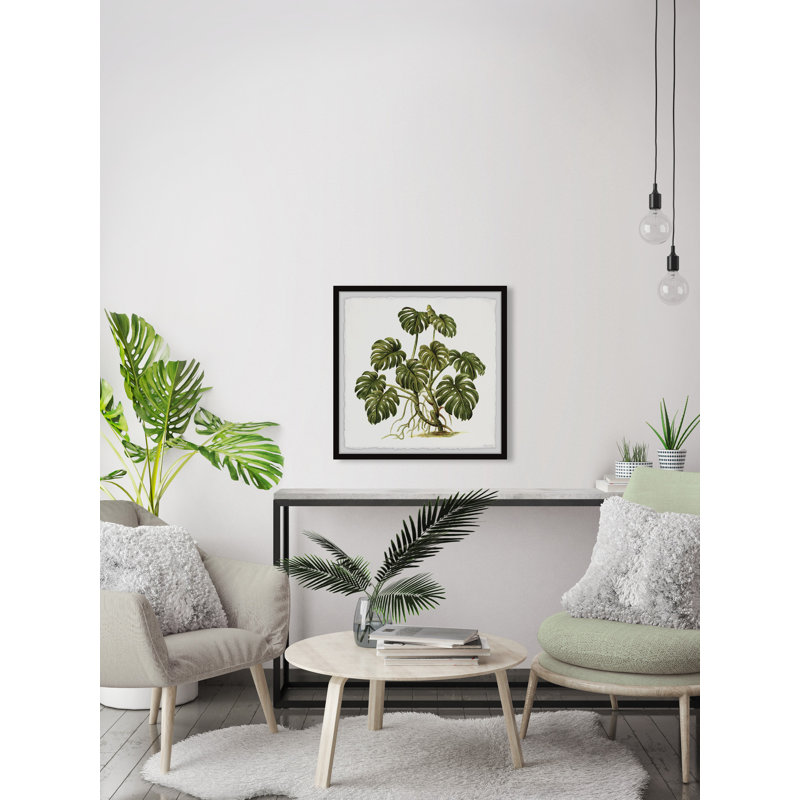 Exotic Palms - reproduction de cadre photo, H 12 po x l 12 po x P 1,5 po