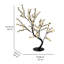 Bonsaïs illuminés et branches-22104824