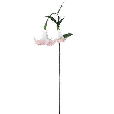 Angels Trumpet Arrangement