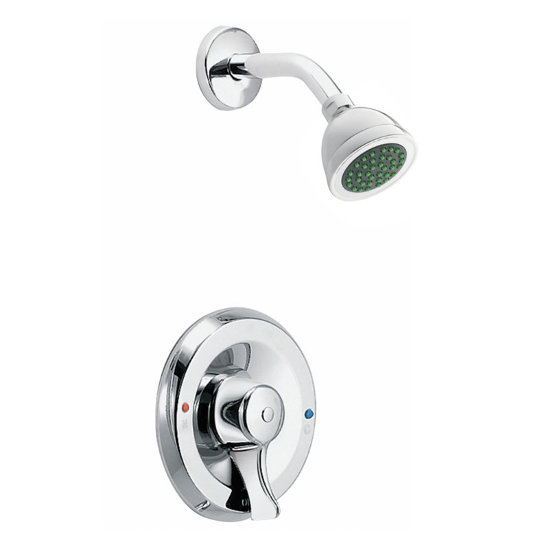 Garniture de robinet de douche commerciale