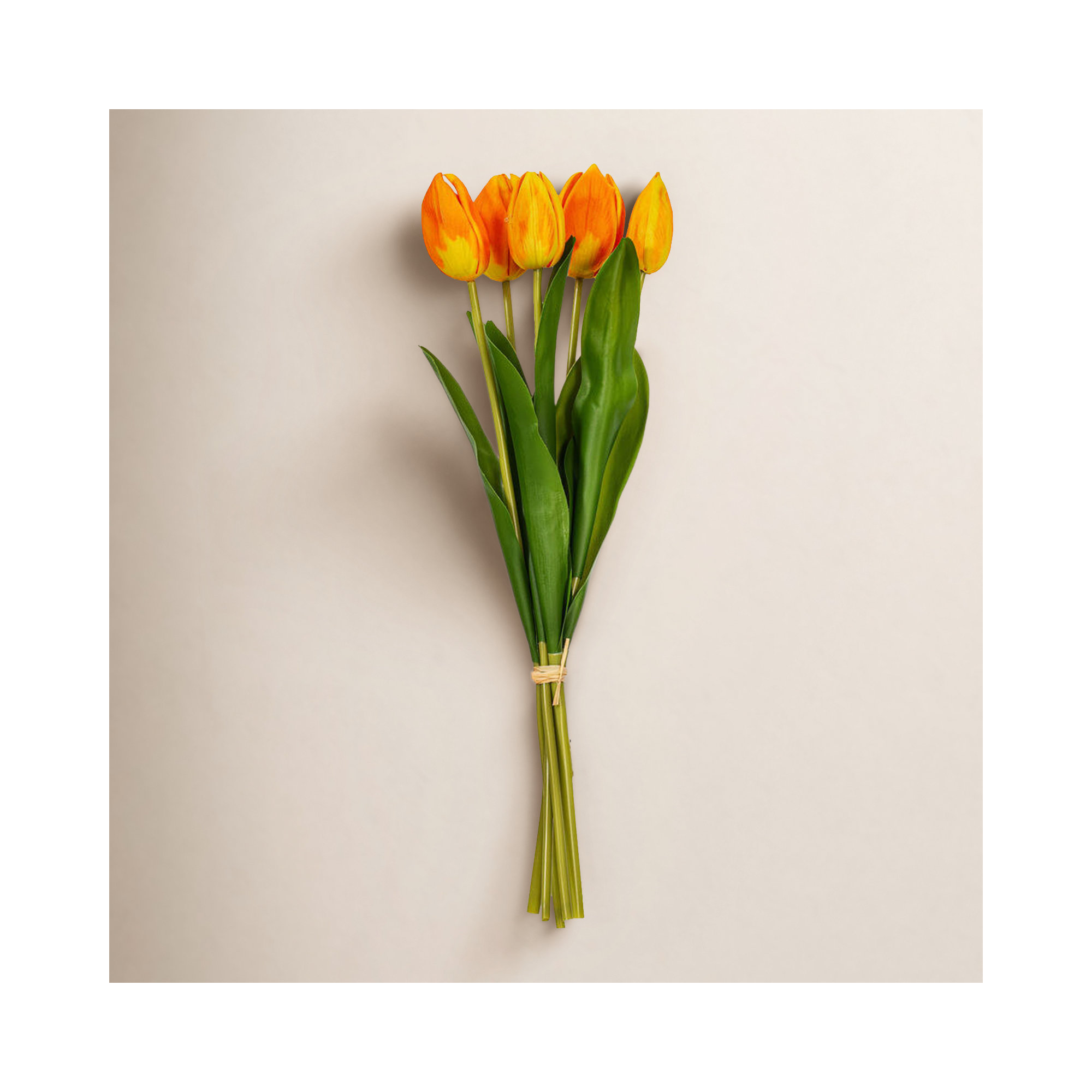 16"H Plum Tulip Bundle of 5., Orange