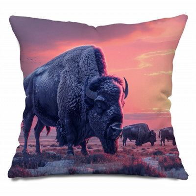 Coussin Sunset
