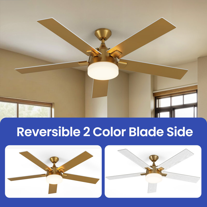 Ventilateur de plafond 52 po avec lumières DEL Betzie