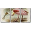 Roseat Spoonbills II 3 pièces-1847039218-1847039223