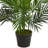 Paradise Palm Artificial Tree