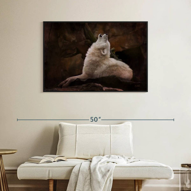 Loup blanc, Cadre flottant noir, 40 po x 27 po