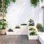 Aishe Planter Box-258578685-258578687