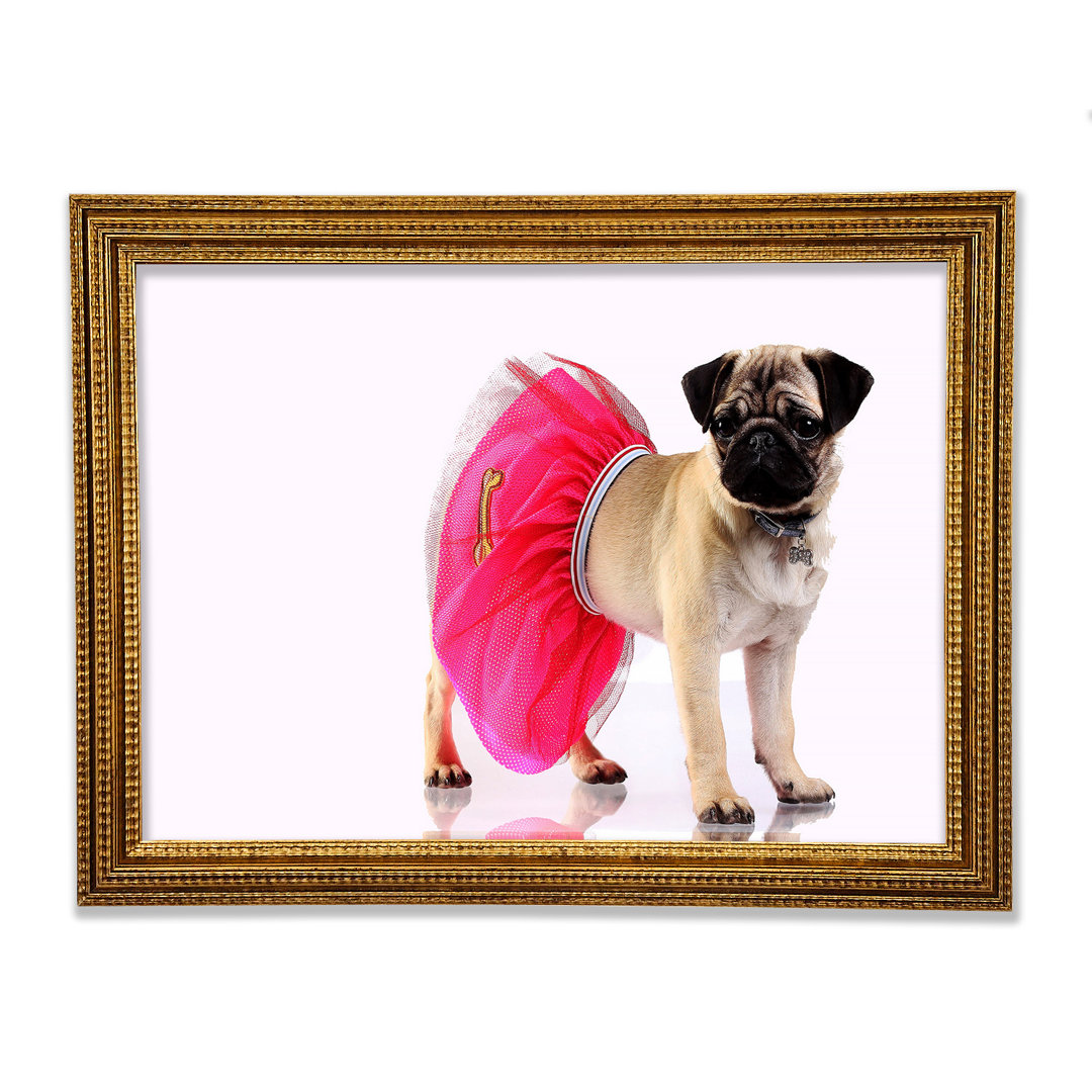 Mops Hund Tutu - Druck