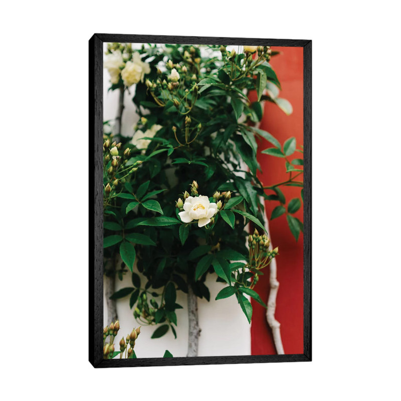 Positano Blooms I by Bethany Young - Print on Canvas, 101.6cm H x 66.04cm W x 3.81cm D, Black Framed
