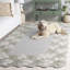 Tapis d'intérieur en laine touffeté à la main Jardin-117806529