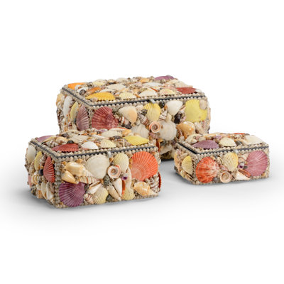 Shell Decorative Box
