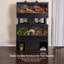 Grand terrarium Deneishia-101483204-52916583