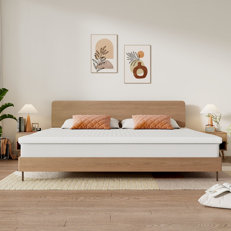 Surmatelas en latex de qualité supérieure Alwyn Home Premium 2 po (mi-ferme), Très grand lit