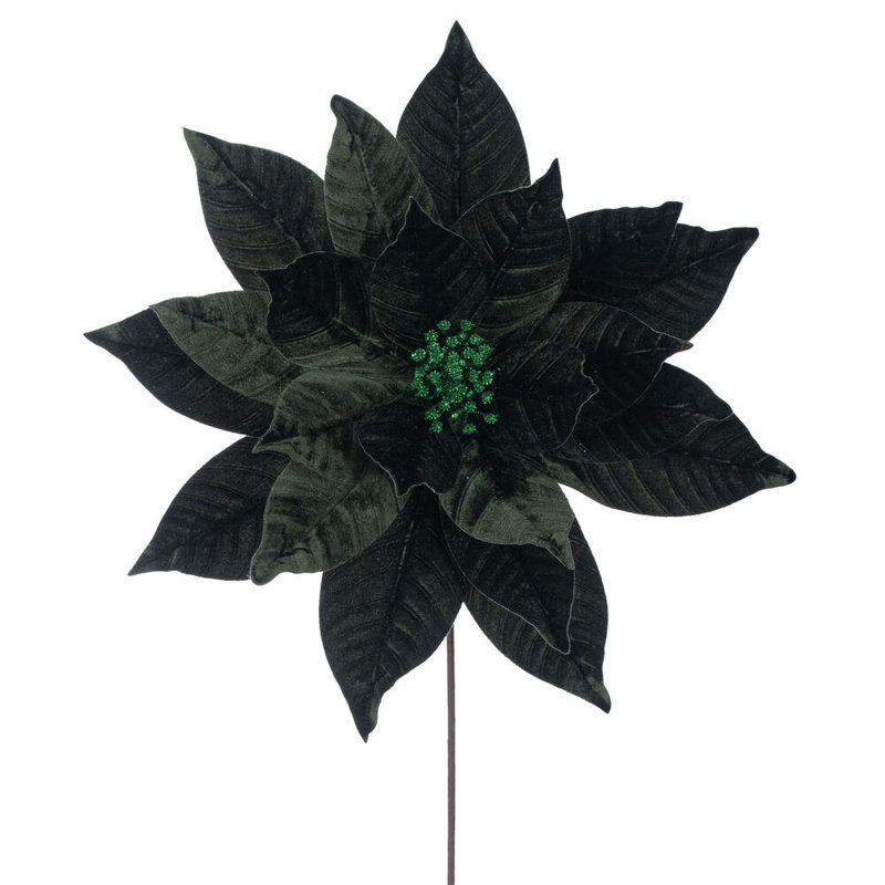 Tiges de poinsettia Clementina, Vert
