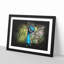 Dazzling Peacock Bird Paint Splash - Picture Frame Graphic Art-56915839-56915833