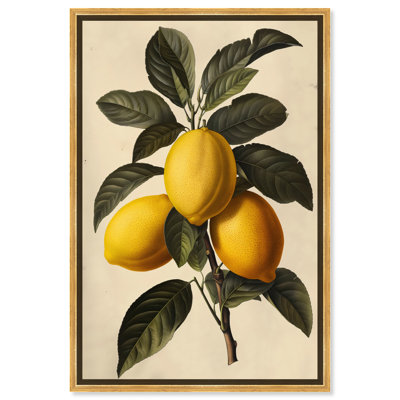 Art mural sur toile Tart Branch