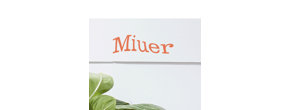 Logo Miuer