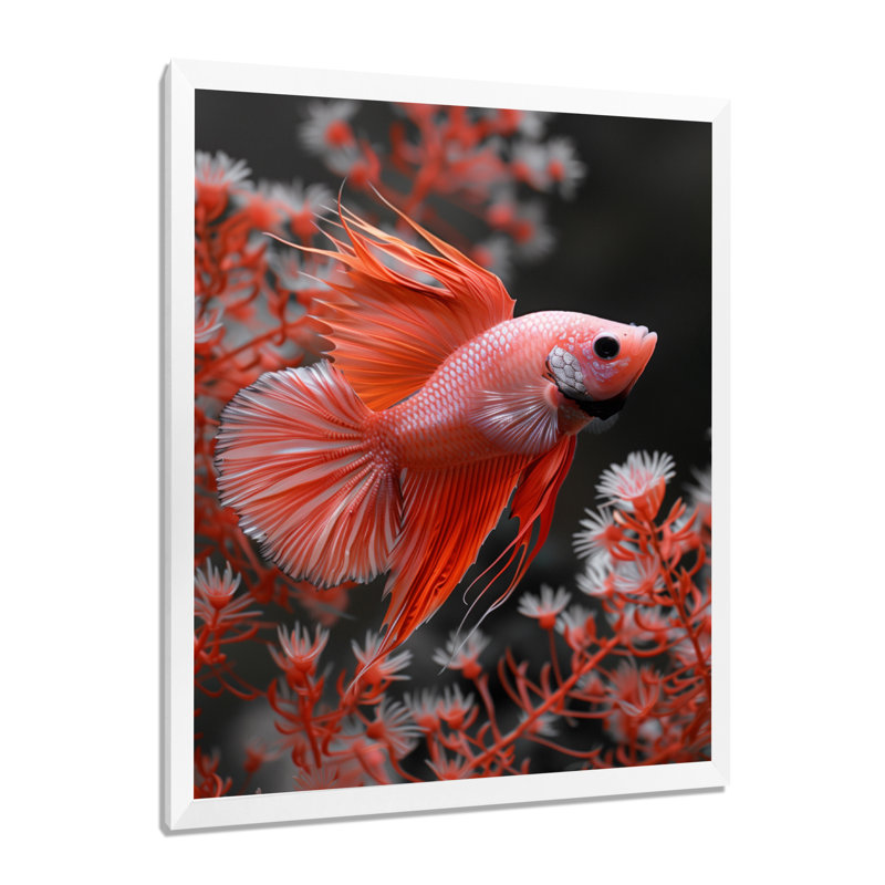 Monochromes rouges et gris - aquariums, reproduction d'art mural, Black Picture Framed, H 12 po x l 20 po