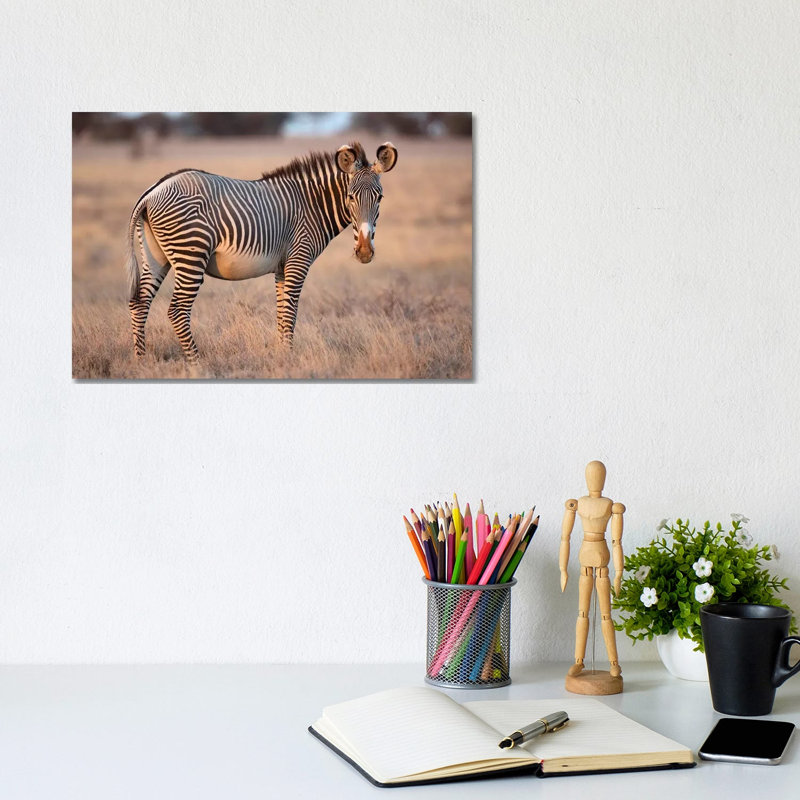Grevy Zebra 1 Piece Wrapped Canvas Wall Art, 20.32 cm H x 30.48 cm W