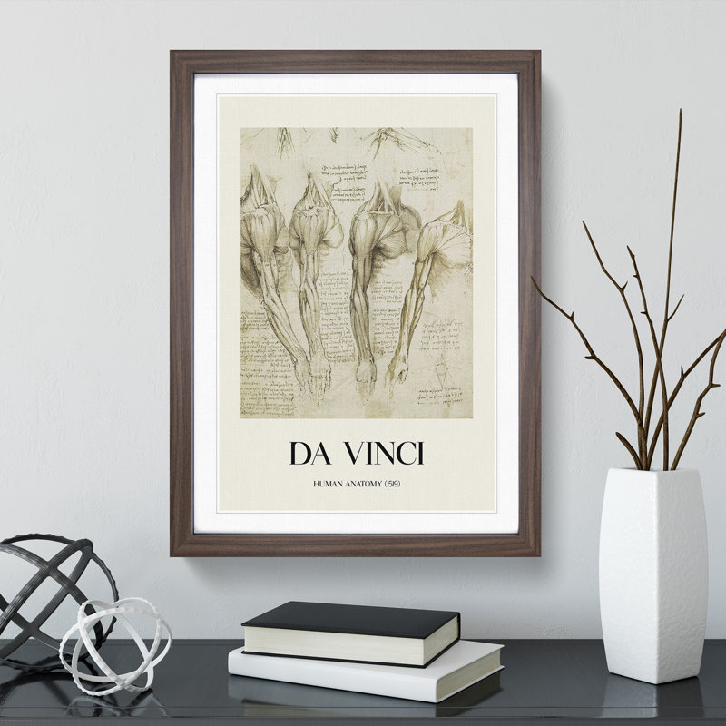 Human Anatomy Vol.8 by Leonardo Da Vinci - Picture Frame Drawing, Walnut Framed, 36cm H x 27cm W x 2cm D