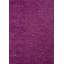 Rochiana Solid Colour Hand Loom Indoor / Outdoor Area Rug-1263230302