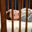 Maxi-Cosi Embraced Forms 4-in-1 Convertible Crib