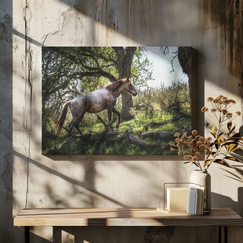 Wrapped Canvas Print, 50.8cm H x 76.2cm W