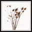 Dried Burdock - Single Picture Frame Painting-2098995771