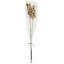 2 Piece Bakuli Pine Stick   Set of 6   23.5"   Gold
