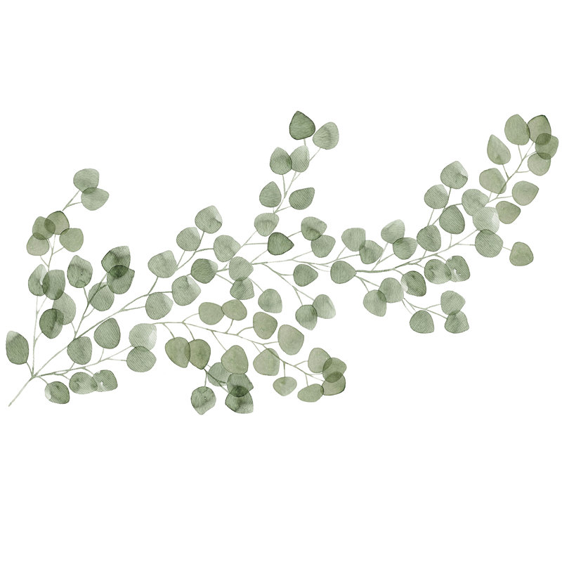 Eucalyptus Plants & Flowers Non-Wall Damaging Wall Decal