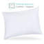 Coussin Gabrielle-1117330103
