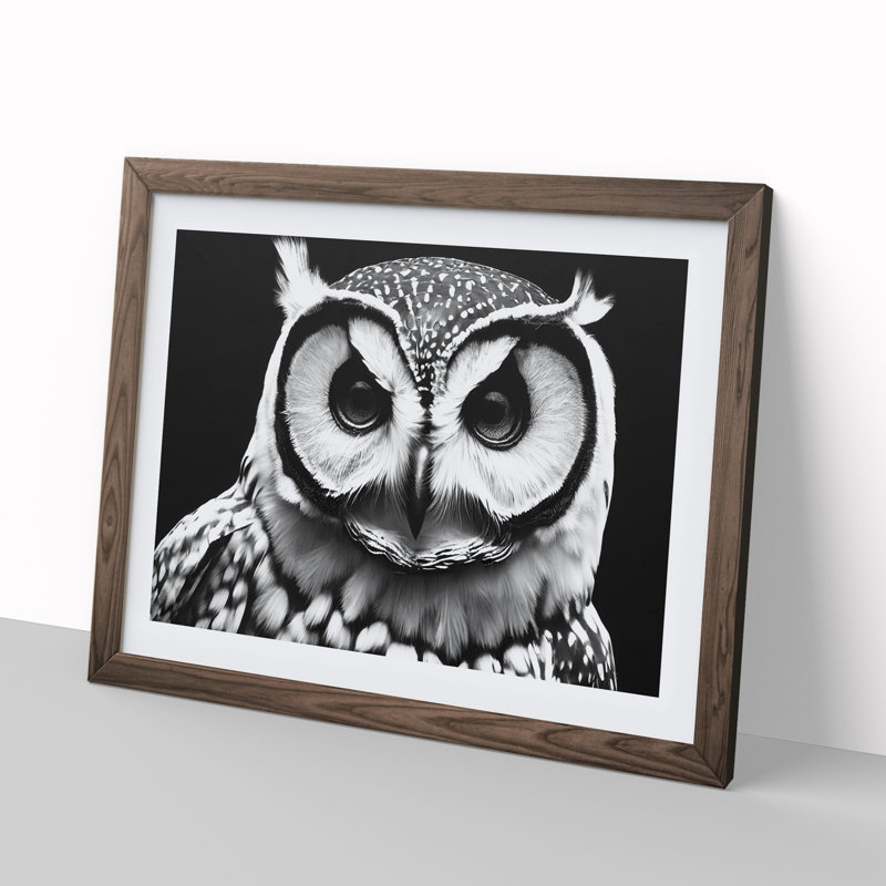 XH1022-6551X Owl Portrait Monochrome Vol.3 1 Piece Single Picture Frame Wall Art, 25cm H x 34cm W x 2cm D, Walnut