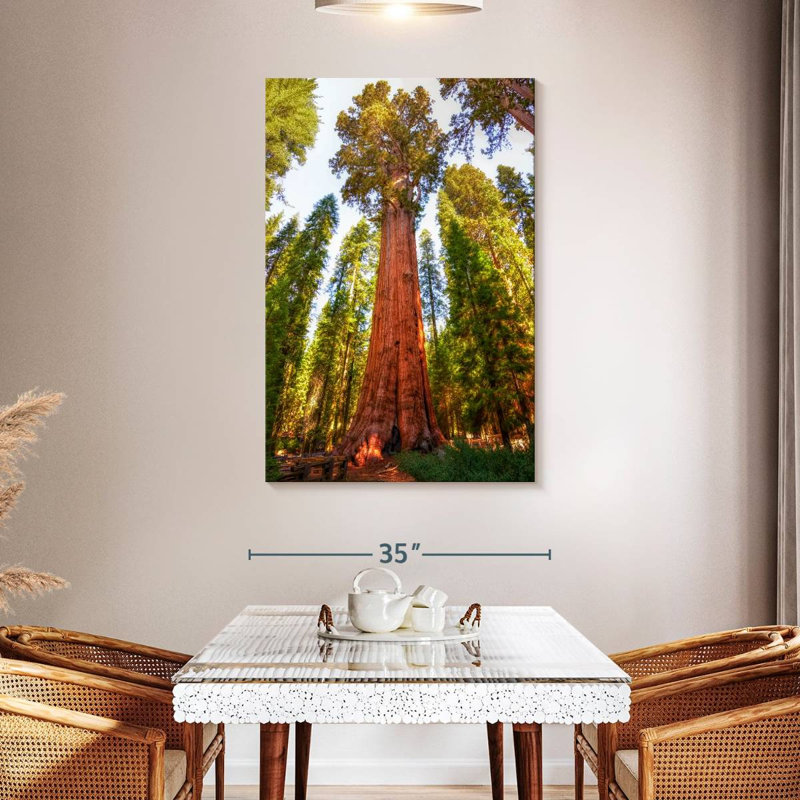 Harnek Redwood Tree Grove, 48" H x 32" W