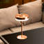 Liana Metal Table Lamp-875526019