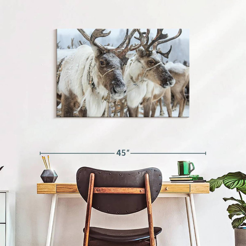 Snow Reindeer, 24" H x 36" W