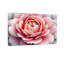 Plantes et fleurs, impression de motif floral rose-655175468-655175506-655175470