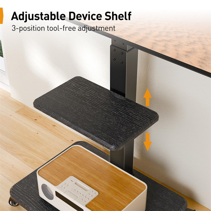 Electronic Mount