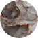 Premium Machine Washable Cerrito Amf525 Peach Rug