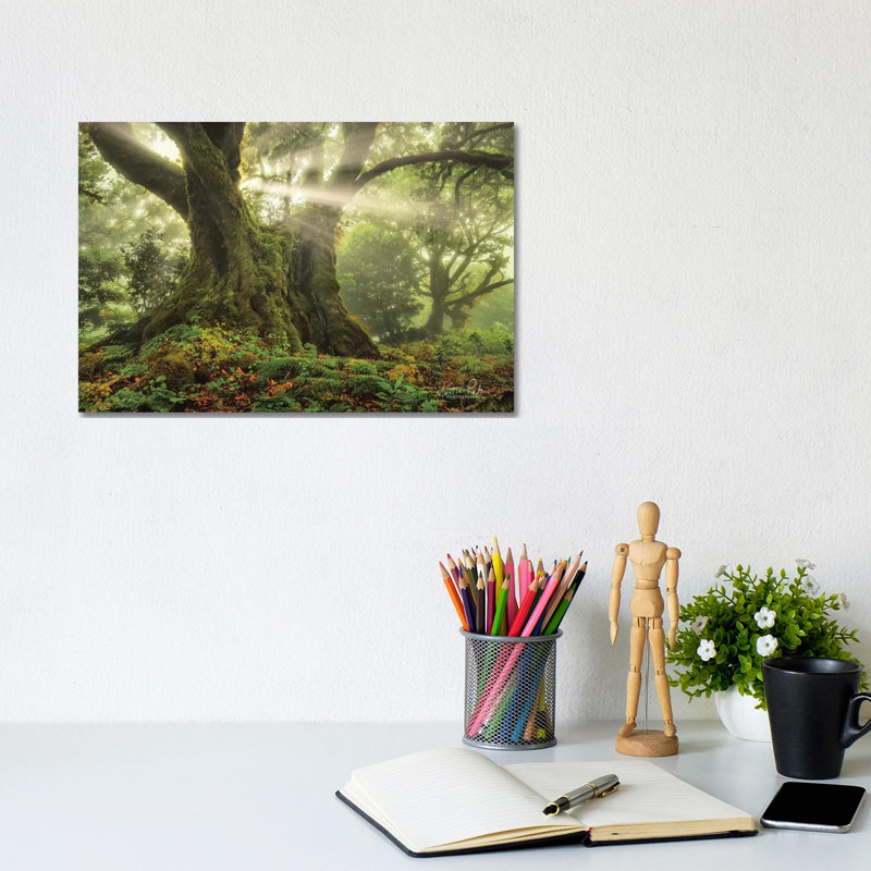 One-Two Tree by Martin Podt - Wrapped Canvas Gallery-Wrapped Canvas Giclée, 20.32 cm H x 30.48 cm W