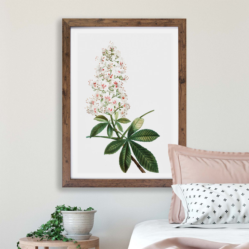Horse Chestnut Tree Flowers by Pierre-Joseph Redoute - Single Picture Frame Painting, 45cm H x 63cm W x 2cm D, Walnut