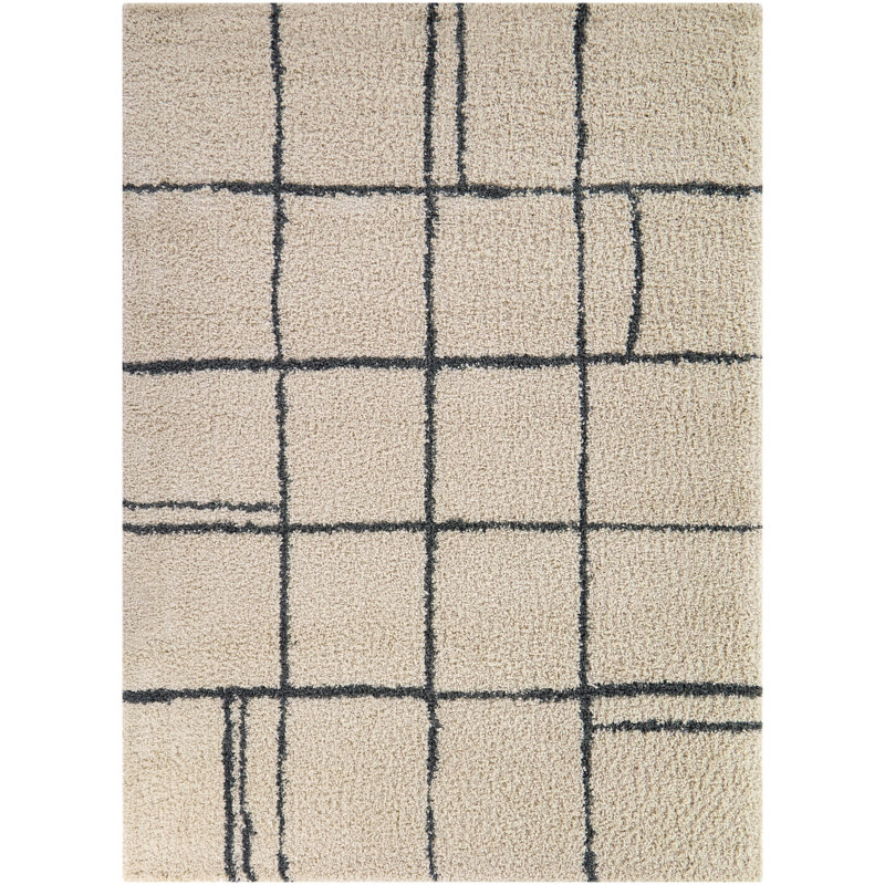 Tapis à motif géométrique abstrait Jaywana, Rectangle 5 pi 3 po x 6 pi 12 po