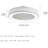 Cleaton 22'' Ceiling Fan with LED Lights