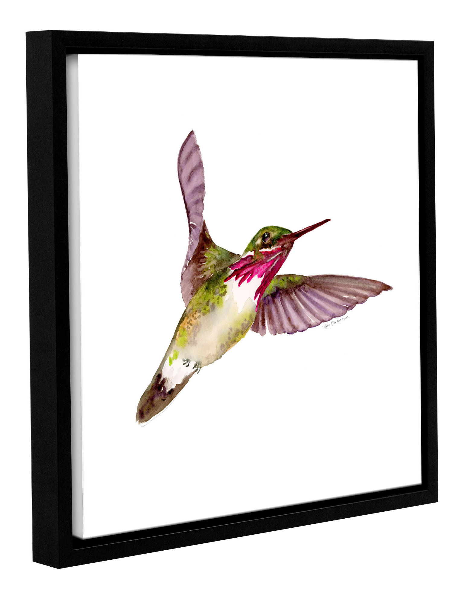 Winston Porter Calliope Hummingbird On Canvas by Amy Kirkpatrick Print