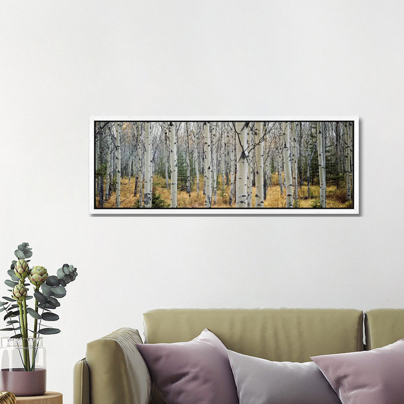 Aspen Trees in a Forest Alberta, Canada 1 Piece Wrapped Canvas Panoramic Wall Art, 121.92 cm H x 40.64 cm W