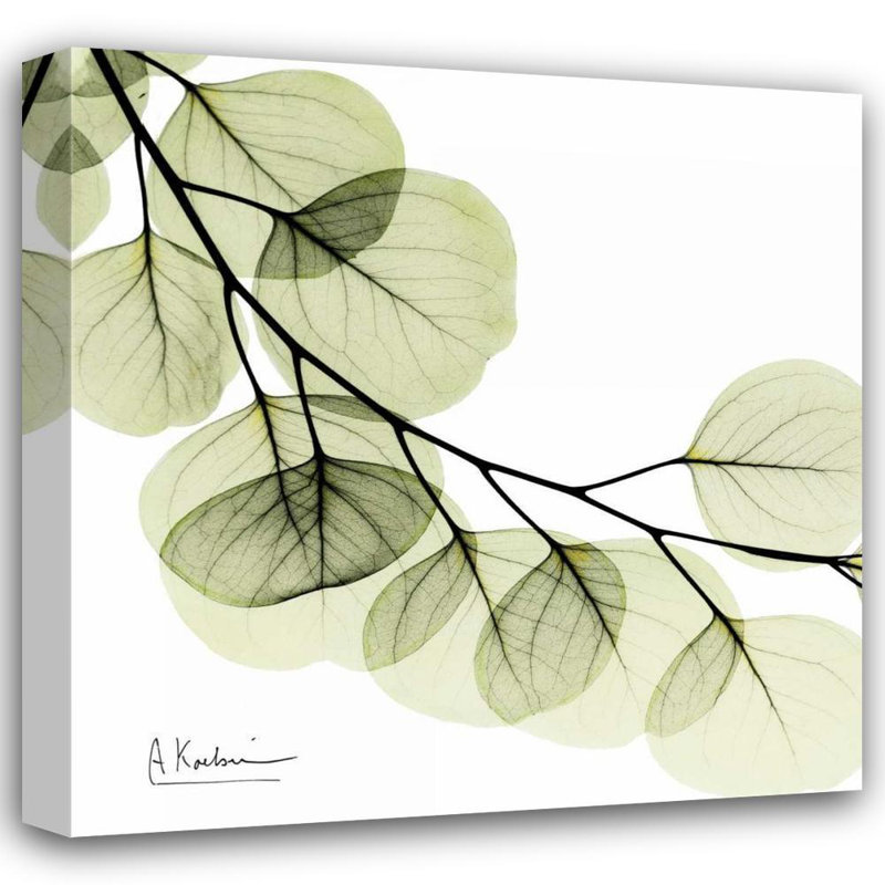 «Red Barrel Studio® Koetsier, Albert Gallery, art sur toile tendue: Menthe eucalyptus, H 28 po x l 28 po