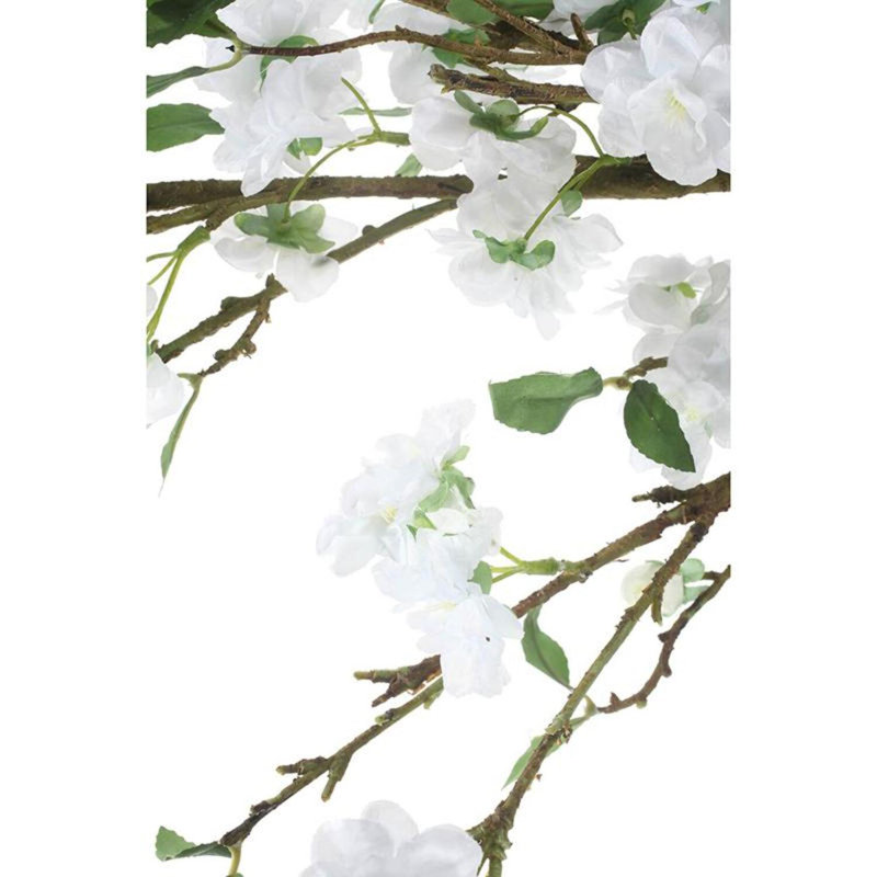 Arrangement