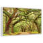Charleston Oak Forest-1119509698-1119509696
