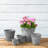Carrero Pot Planter-579612685-579612683