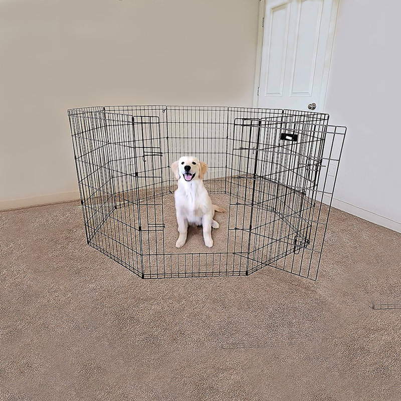 Lucky Dog 48" Black Metal Exercise Pen with Stakes