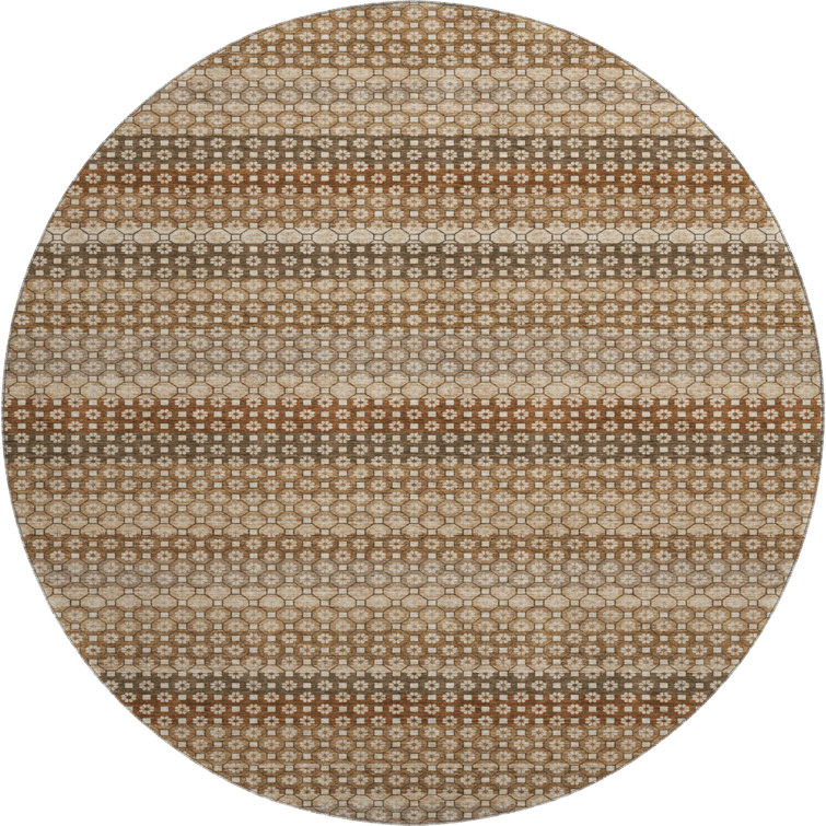 Premium Machine Washable Elize AMF1419 Stripes Rug